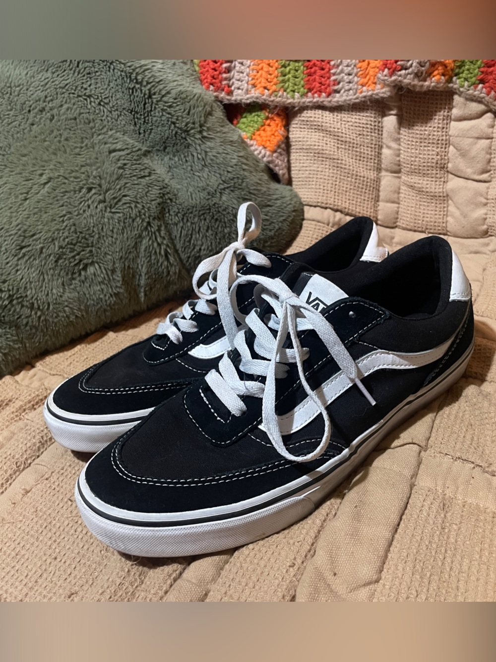 Vans Black and White Skate Sneakers